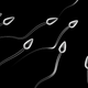 Image for article titled Daring Sperm Smugglers in Palestine Brave Israeli Jails, Implausibility to Get Pregnant